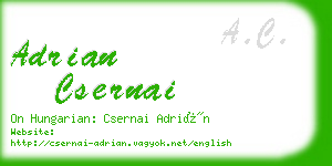 adrian csernai business card